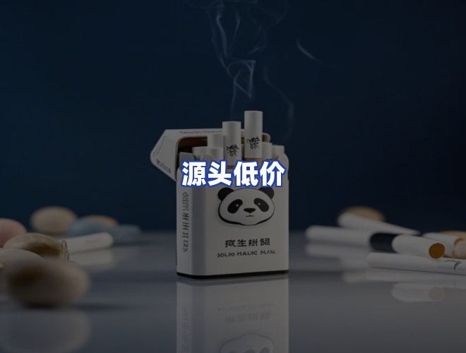专业团队